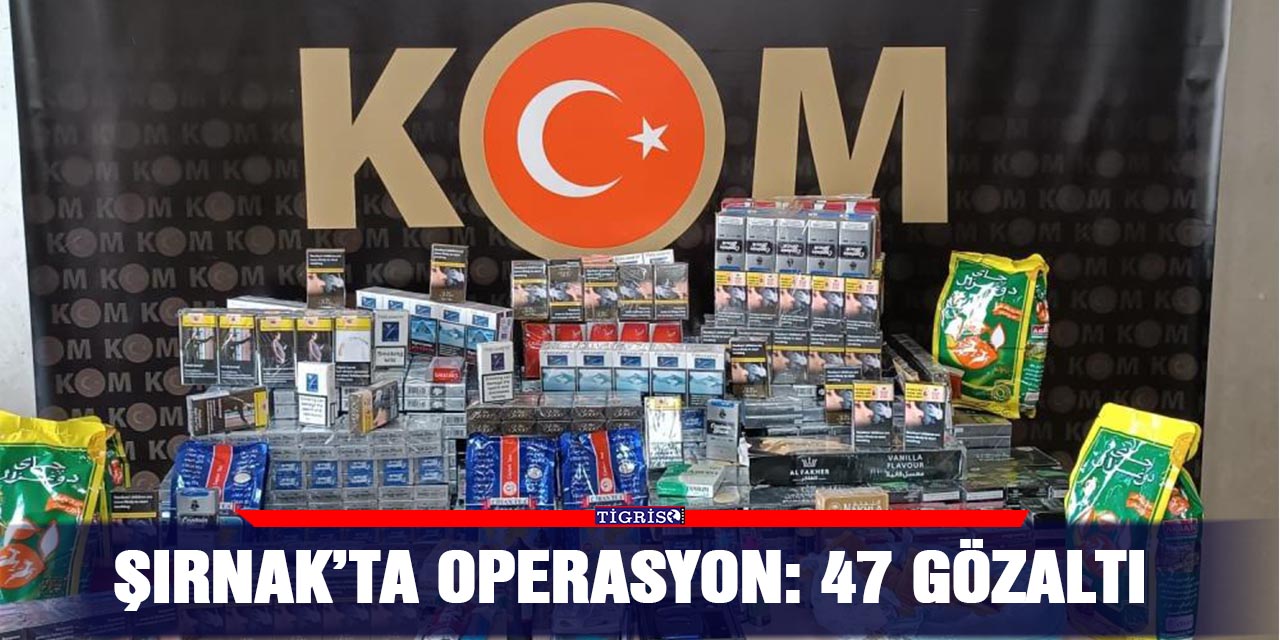Şırnak’ta operasyon: 47 gözaltı