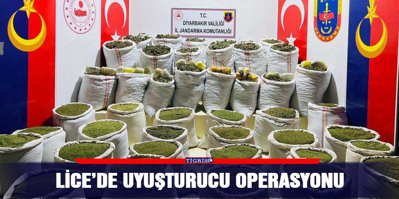 Lice’de uyuşturucu operasyonu