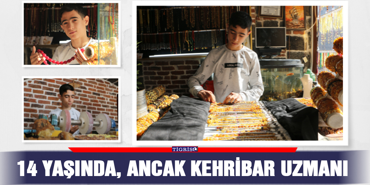 14 yaşında, ancak kehribar uzmanı