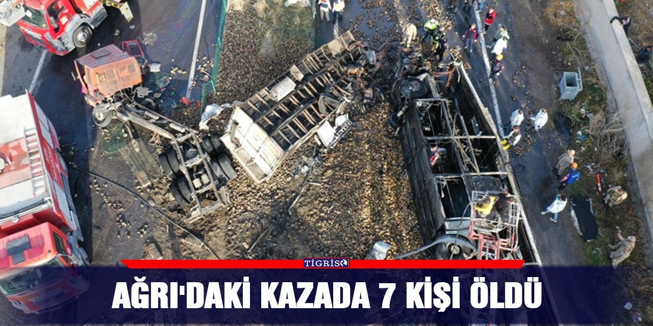 Ağrı'daki kazada 7 kişi öldü