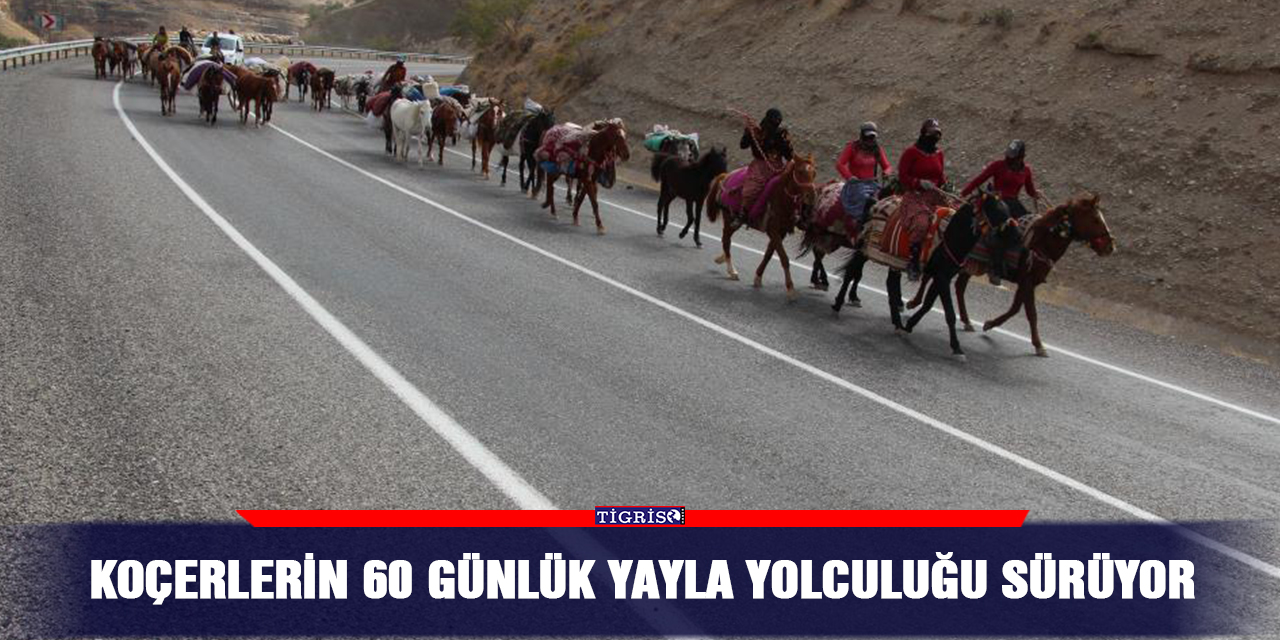 Koçerlerin 60 günlük yayla yolculuğu sürüyor