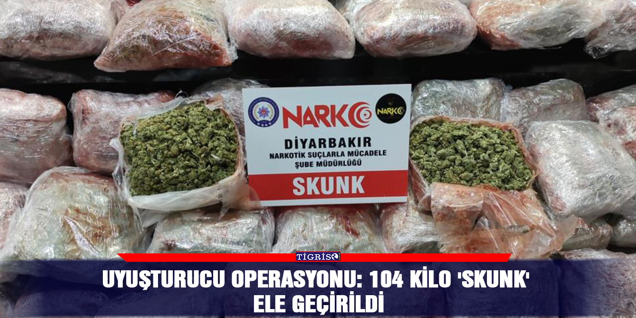 Uyuşturucu operasyonu: 104 kilo 'skunk' ele geçirildi
