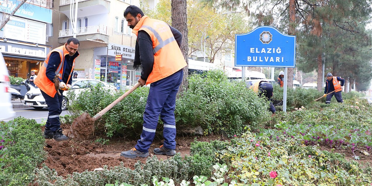 Diyarbakır'da milyonlarca lira doğrudan bitki alımına gitti