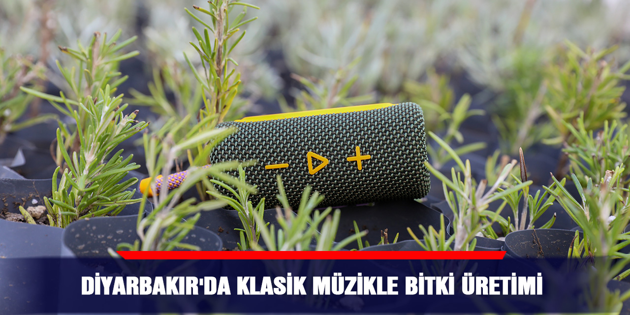 Diyarbakır'da klasik müzikle bitki üretimi