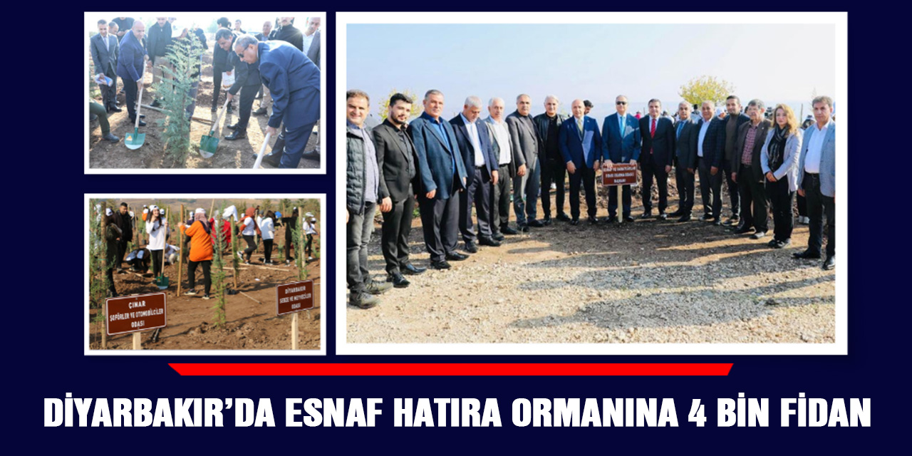 Diyarbakır’da esnaf hatıra ormanına 4 bin fidan