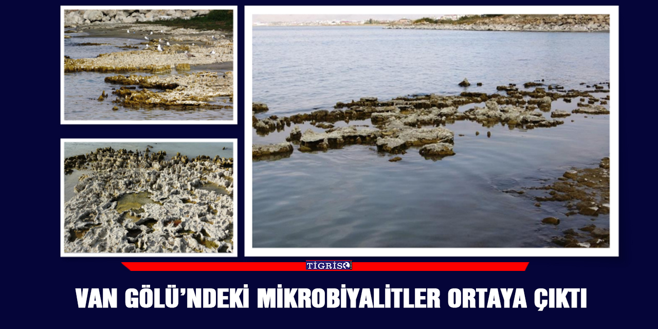Van Gölü’ndeki mikrobiyalitler ortaya çıktı