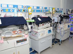 Şanlıurfa doğurganlıkta dünyayı solladı