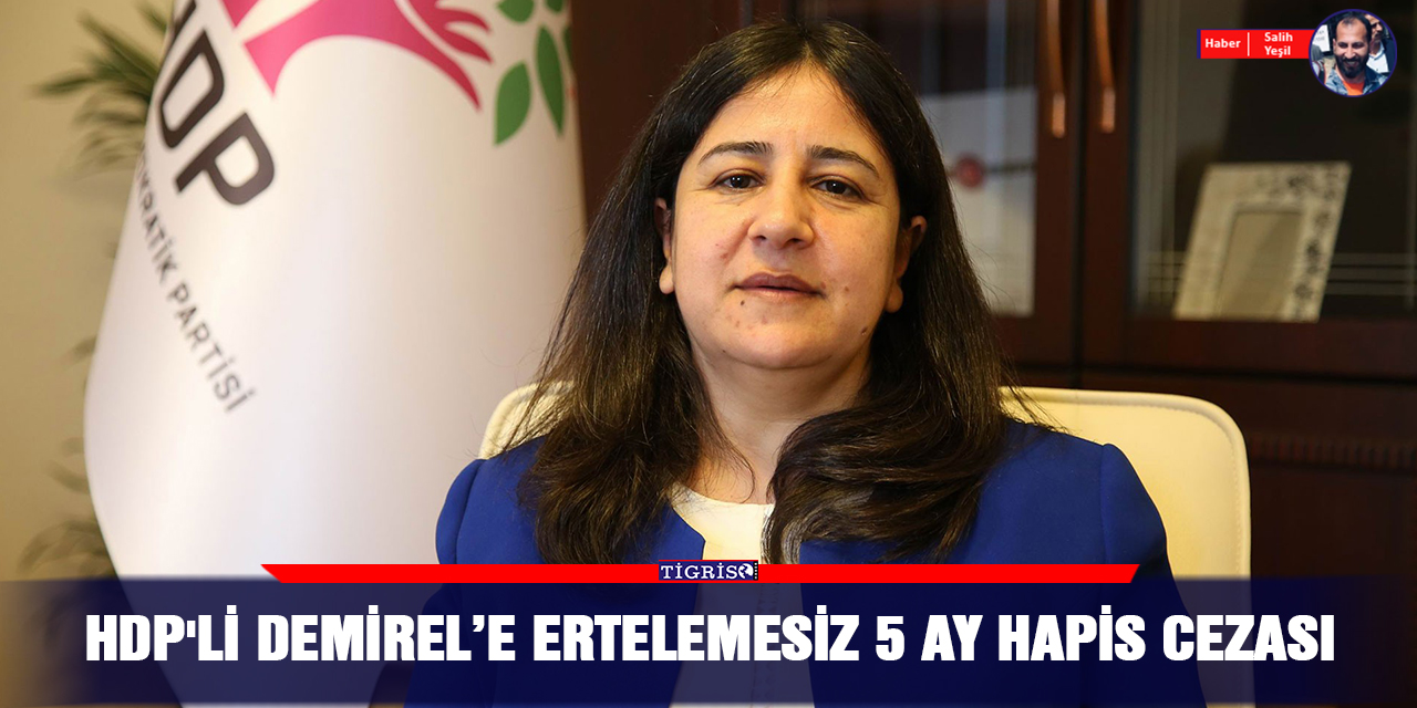 HDP'li Demirel’e ertelemesiz 5 ay hapis cezası