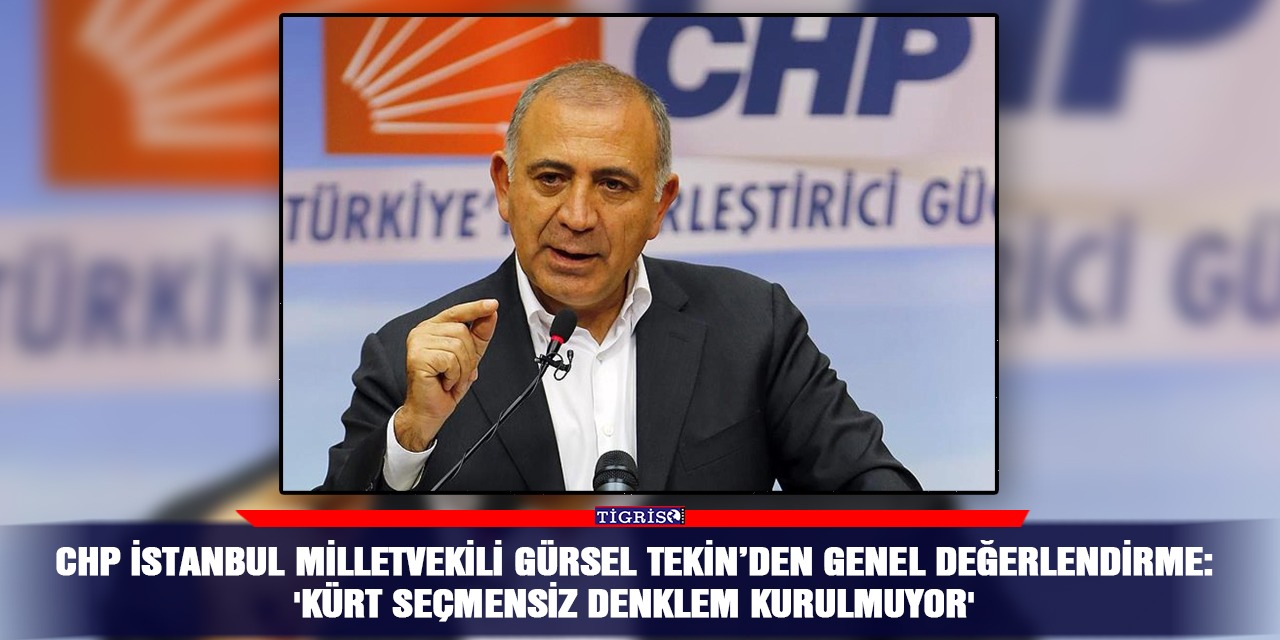 CHP'li Tekin: 'Kürt seçmensiz denklem kurulmuyor'