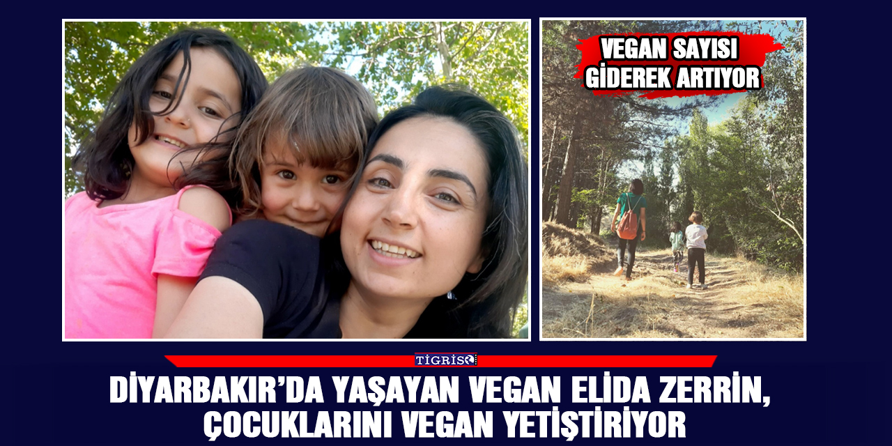 Vegan sayısı giderek artıyor