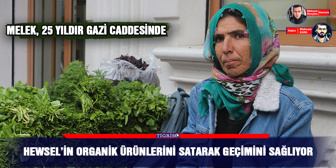 VİDEO - Hewsel’in organik ürünlerini satarak geçimini sağlıyor