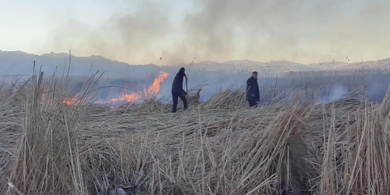 Yüksekova Nehil Sazlığı'nda yangın