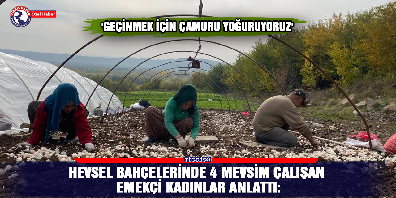 Hevsel’in emekçi kadınları: 'Geçinmek için çamuru yoğuruyoruz'