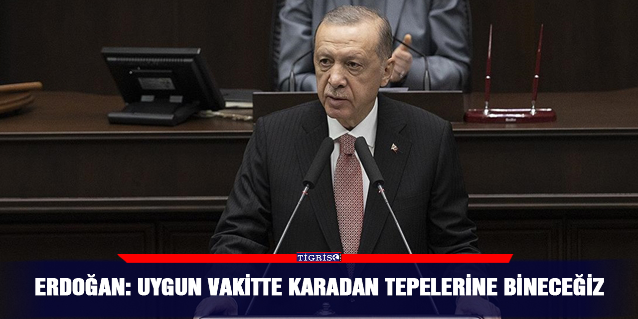 Erdoğan: Uygun vakitte karadan tepelerine bineceğiz