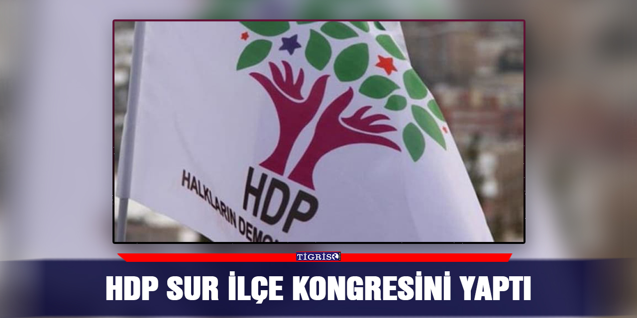 HDP Sur ilçe kongresini yaptı