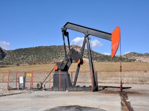 TPAO: Satın almalarda büyümeyi hedefliyoruz