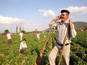 Çiftçilere müjde: ÇKB süresi uzatıldı