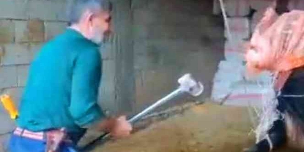 Boğaya balyozlu şiddetten 3 kişi tutuklandı