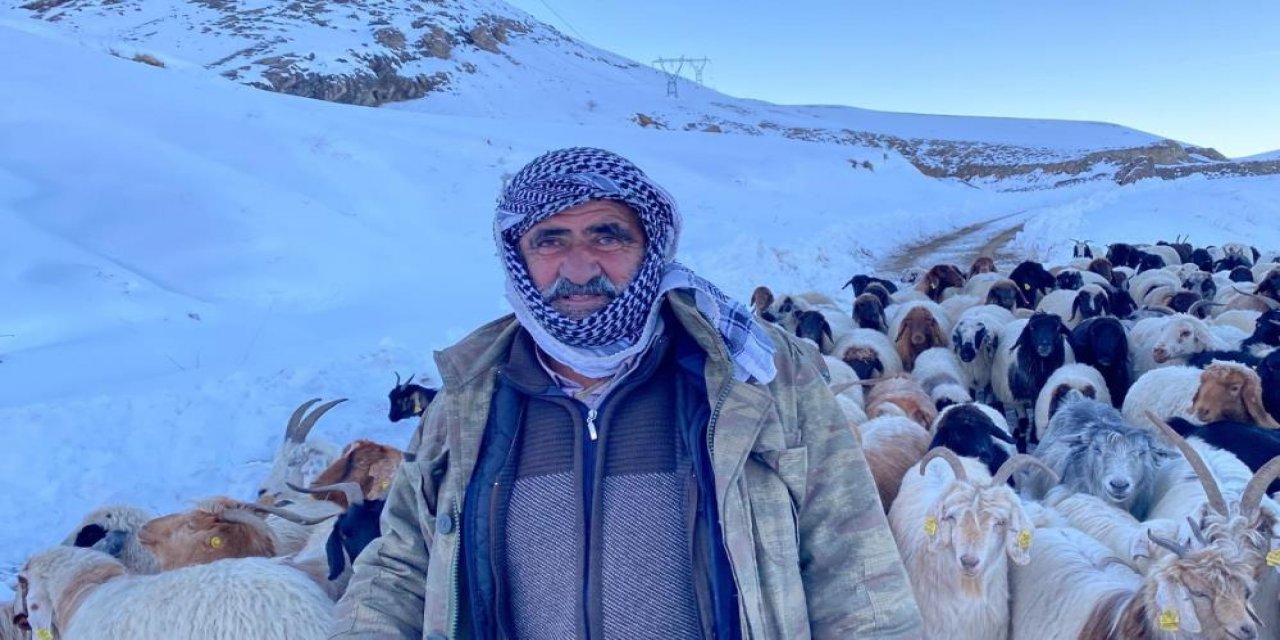 Hakkari’de yaylada mahsur kalan sürü kurtarıldı