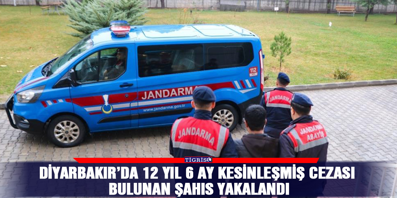 Diyarbakır’da 12 yıl 6 ay kesinleşmiş cezası bulunan şahıs yakalandı