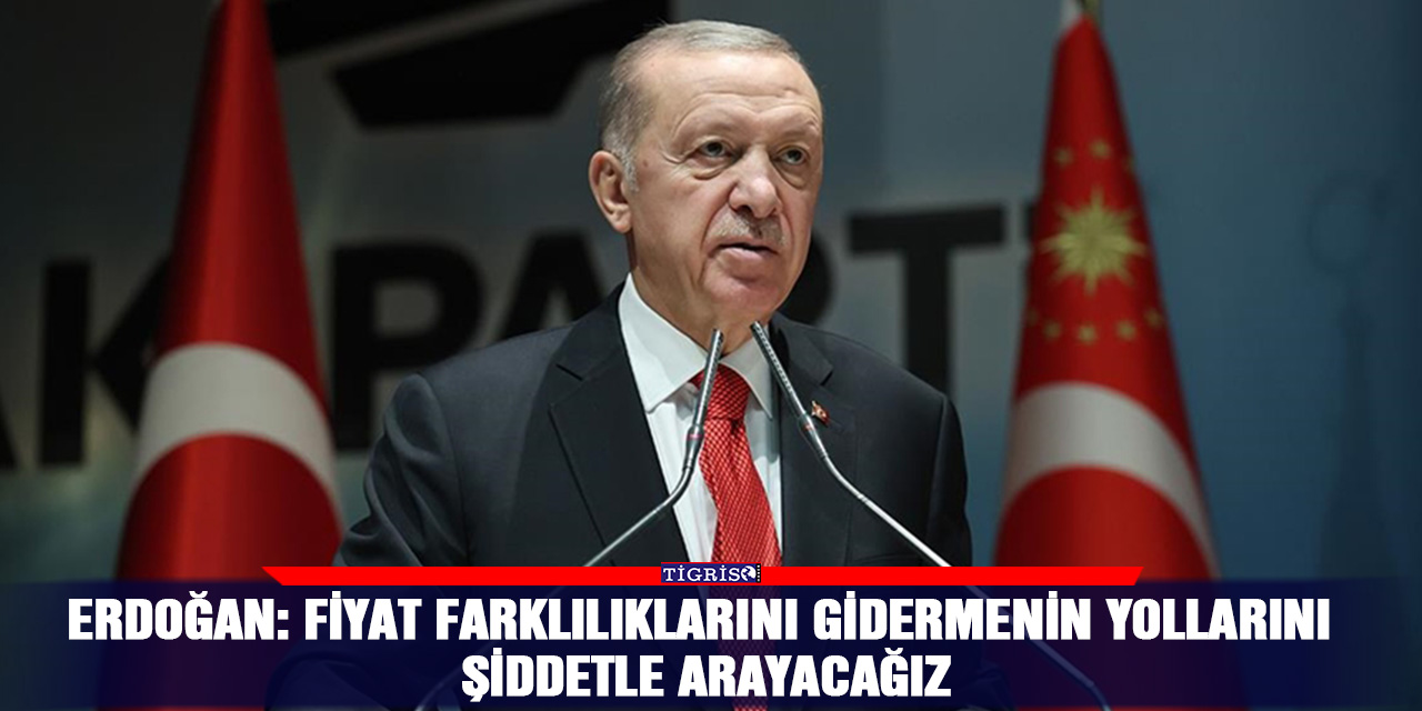 Erdoğan: Fiyat farklılıklarını gidermenin yollarını şiddetle arayacağız