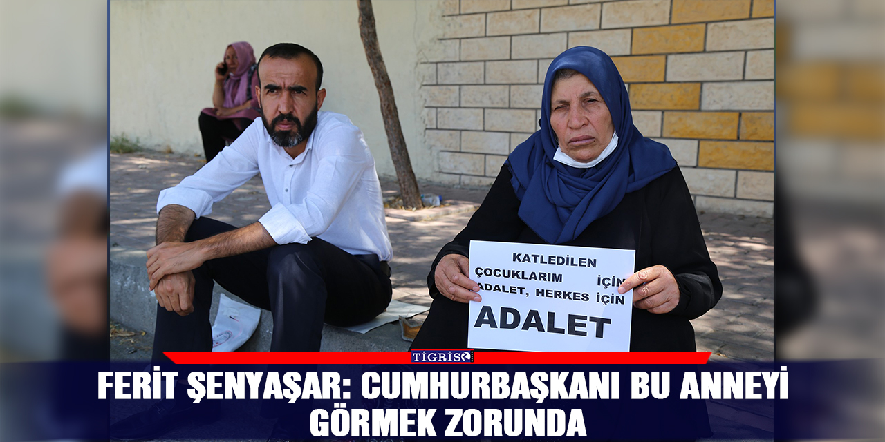 Ferit Şenyaşar: Cumhurbaşkanı bu anneyi görmek zorunda
