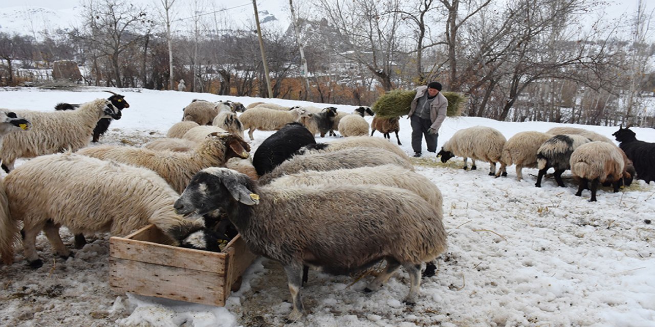 Besicilerin kış şartlarıyla mücadelesi başladı