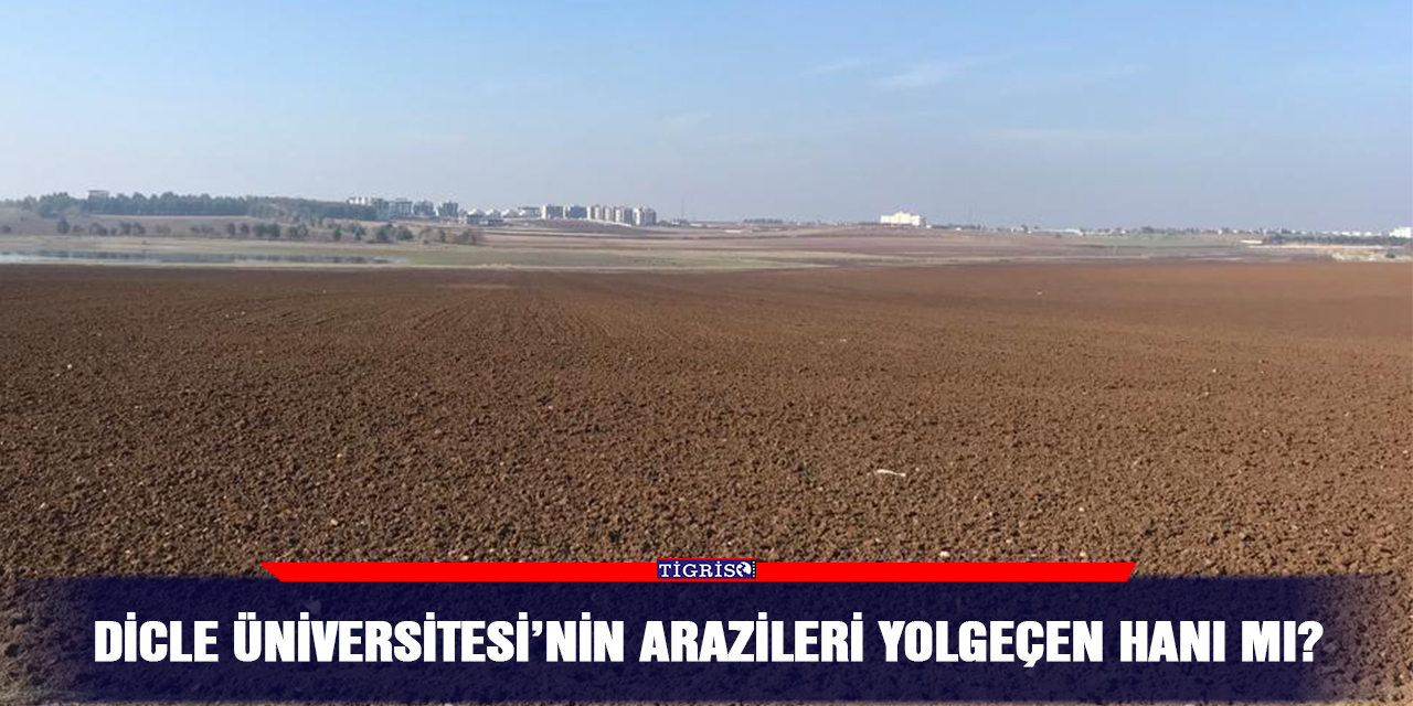 Dicle Üniversitesi’nin arazileri yolgeçen hanı mı?