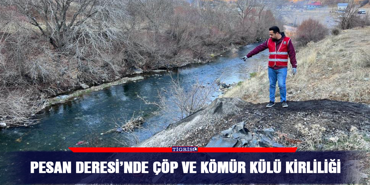 Pesan Deresi’nde çöp ve kömür külü kirliliği