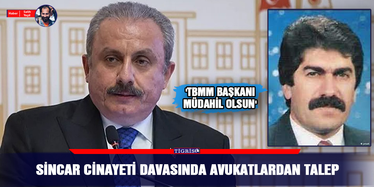 Sincar cinayeti davasında avukatlardan talep