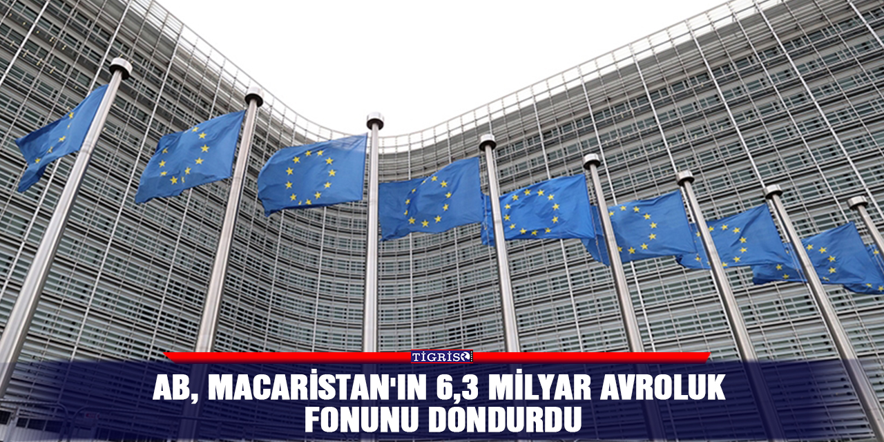 AB, Macaristan'ın 6,3 milyar avroluk fonunu dondurdu