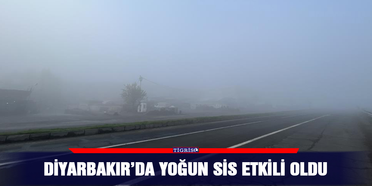 Diyarbakır’da yoğun sis etkili oldu