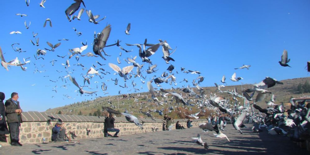 Diyarbakır semalarında binlerce boran uçtu