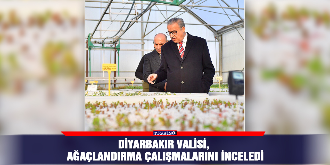 Diyarbakır Valisi, ağaçlandırma çalışmalarını inceledi