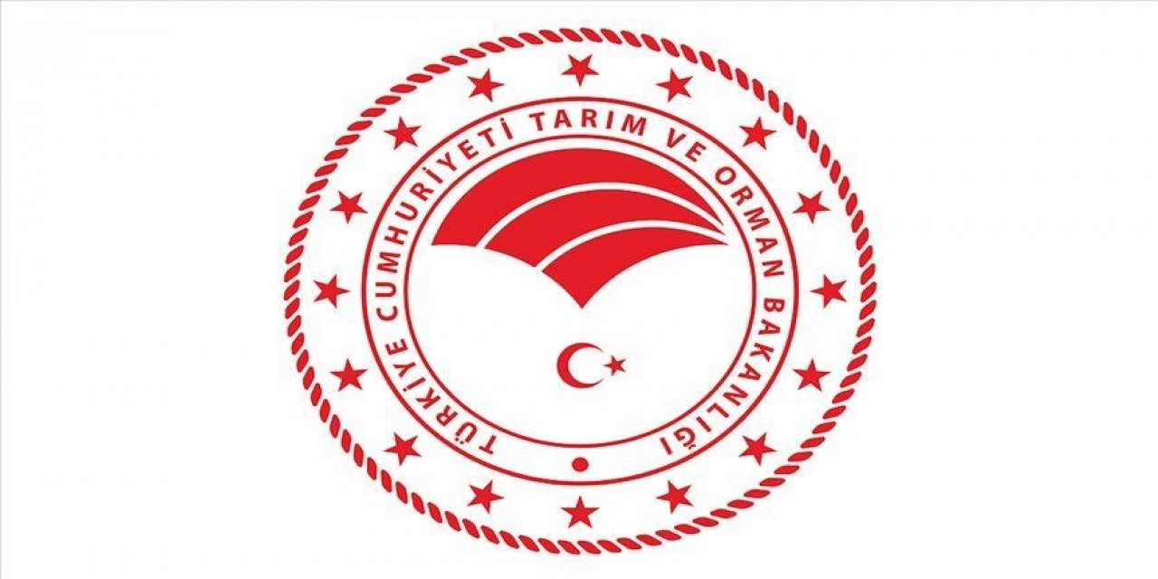 249 sözleşmeli orman mühendisi alınacak