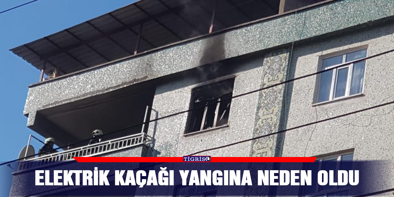Elektrik kaçağı yangına neden oldu