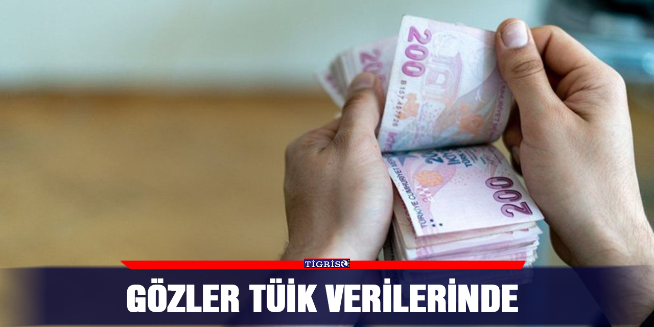 Gözler TÜİK verilerinde