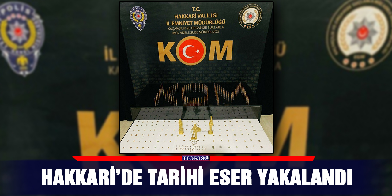 Hakkari’de tarihi eser yakalandı