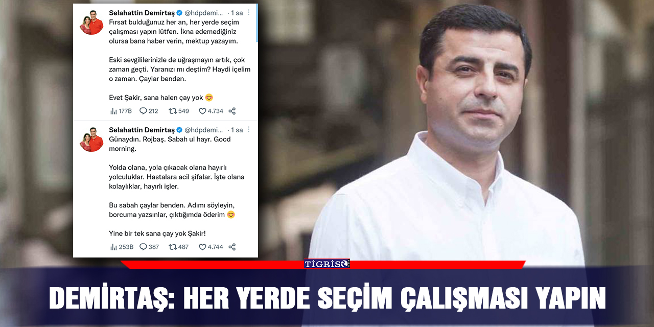 Demirtaş: Her yerde seçim çalışması yapın