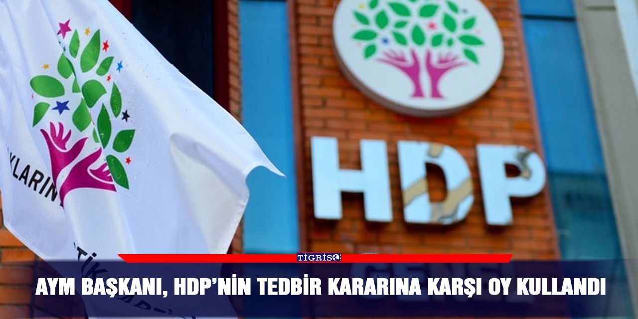 AYM Başkanı,  HDP’nin tedbir kararına karşı oy kullandı