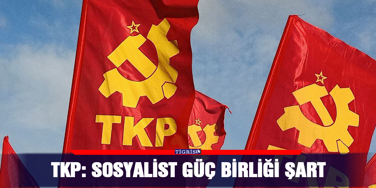 TKP: Sosyalist güç birliği şart