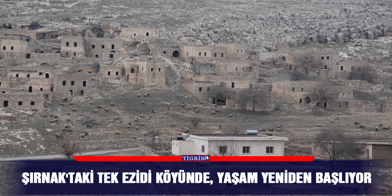 VİDEO - Şırnak'taki tek Ezidi köyünde, yaşam yeniden başlıyor