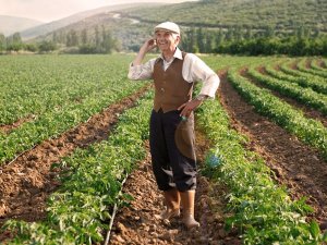 Çiftçiye yapılacak destek tutarları belli oldu
