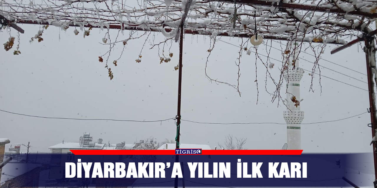 Diyarbakır’a yılın ilk karı