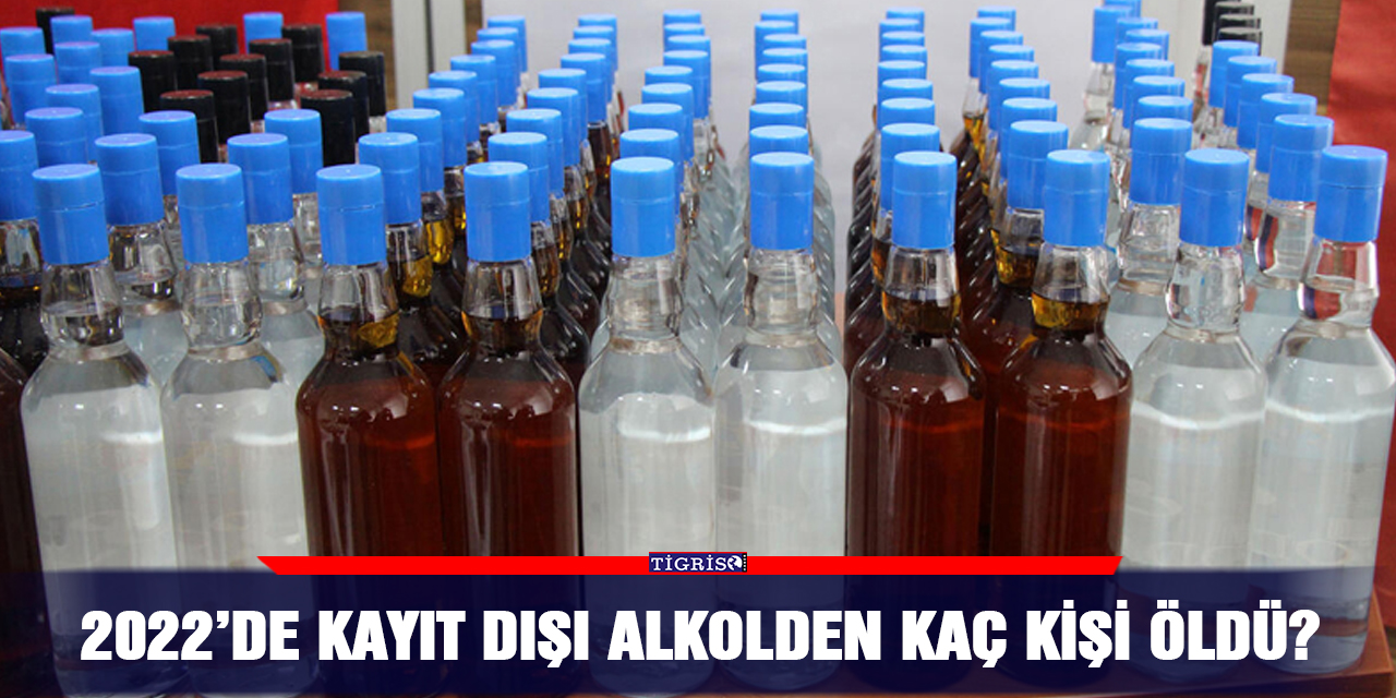 2022’de kayıt dışı alkolden kaç kişi öldü?