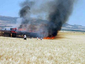 Ekili alan yangınları korkutuyor