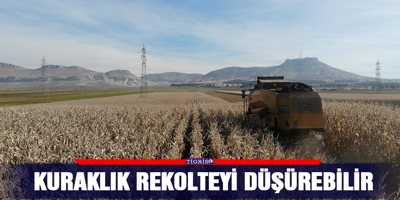 Kuraklık rekolteyi düşürebilir