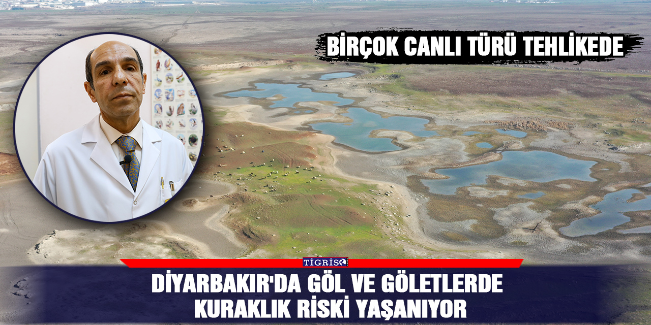 Diyarbakır'da göl ve göletlerde kuraklık riski yaşanıyor