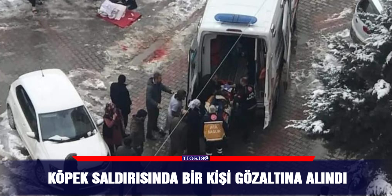 Köpek saldırısında bir kişi gözaltına alındı