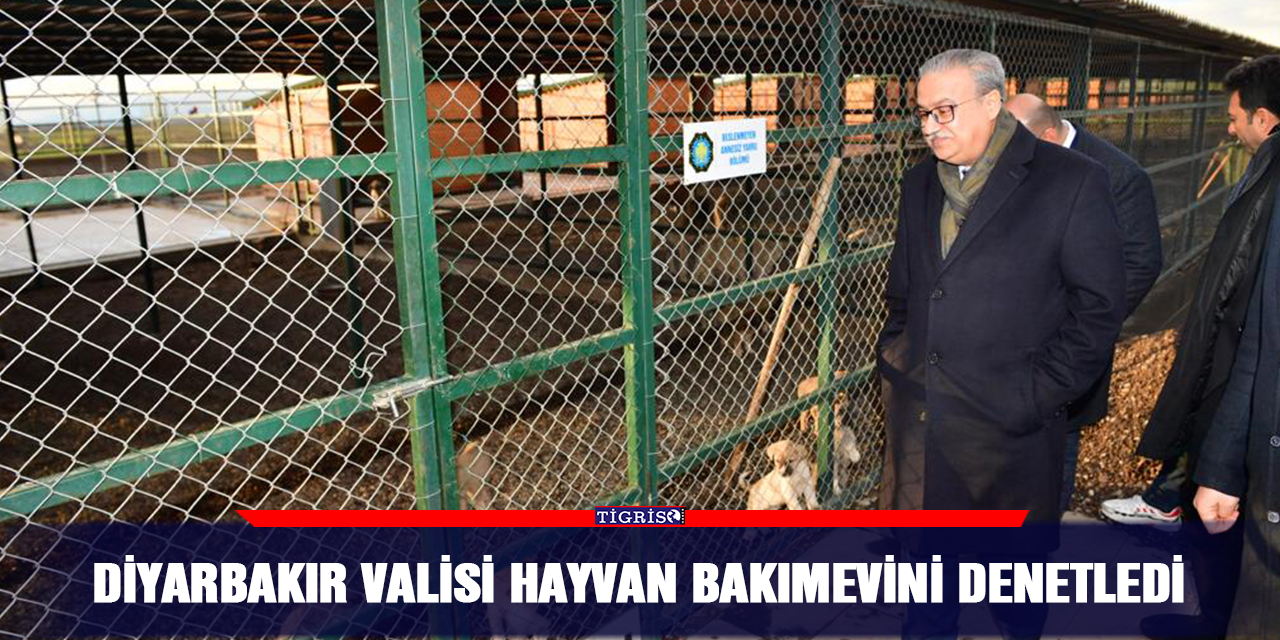 Diyarbakır Valisi hayvan bakımevini denetledi